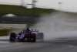 Toro Rosso     