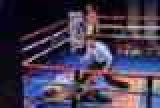     (Doyle Brunson)    WBC Continental