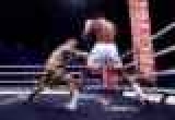          WBO, IBF  WBA  